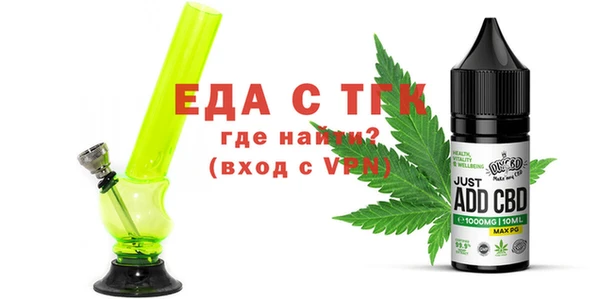 СК Ельня