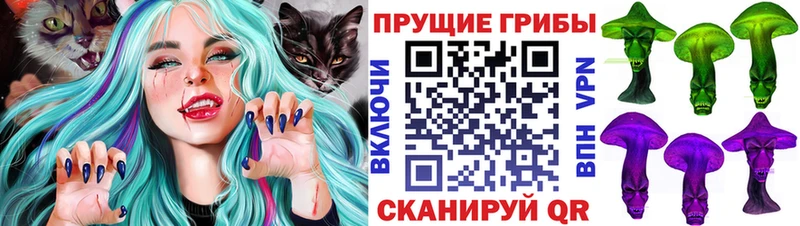 Псилоцибиновые грибы Psilocybine cubensis  сайты даркнета формула  Шилка 